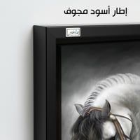 HR1 لوحة فنية راقية تصور حصاناً أبيض بتفاصيل مميزة...