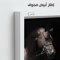 HR98 لوحة فنية معاصرة تصور رأس حصان عربي أصيل بلون...