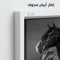 HR263 لوحة فنية أنيقة بالأبيض والأسود تصور حصاناً...