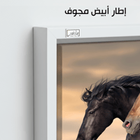 HR61 لوحة فنية معاصرة تصور حصانين أسود وبني اللون...