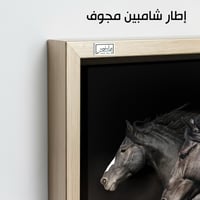 HR60 لوحة فنية معاصرة بالأبيض والأسود تصور ثلاثة أ...