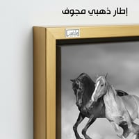HR252 لوحة فنية معاصرة تصور مجموعة من الخيول وهي ت...