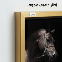 HR98 لوحة فنية معاصرة تصور رأس حصان عربي أصيل بلون...