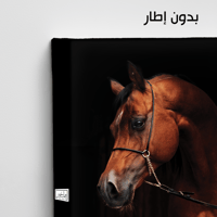 HR97 لوحة فنية معاصرة تصور رأس حصان عربي أصيل بلون...