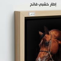 HR97 لوحة فنية معاصرة تصور رأس حصان عربي أصيل بلون...