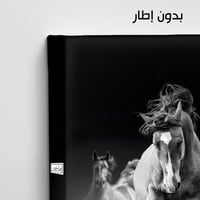 HR58حصان بري يركض وسط الضباب - لوحة فنية بالأبيض و...
