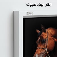 HR97 لوحة فنية معاصرة تصور رأس حصان عربي أصيل بلون...