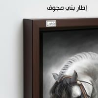 HR1 لوحة فنية راقية تصور حصاناً أبيض بتفاصيل مميزة...