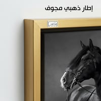HR263 لوحة فنية أنيقة بالأبيض والأسود تصور حصاناً...