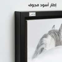 HR73 لوحة فنية معاصرة بالأبيض والأسود تصور رأس حصا...