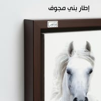 HR96 لوحة فنية معاصرة تصور رأس حصان أبيض ناصع، على...