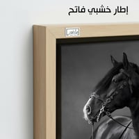 HR263 لوحة فنية أنيقة بالأبيض والأسود تصور حصاناً...