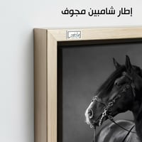 HR263 لوحة فنية أنيقة بالأبيض والأسود تصور حصاناً...