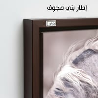 HR57 لوحة رأس حصان أبيض بخلفية ترابية هادئة - فن م...