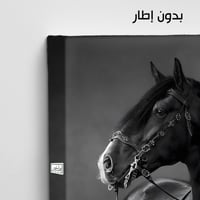 HR263 لوحة فنية أنيقة بالأبيض والأسود تصور حصاناً...