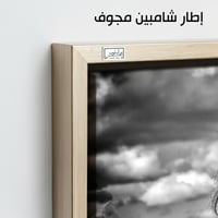 HR113 لوحة فنية بالأبيض والأسود تصور حصانًا أسودًا...