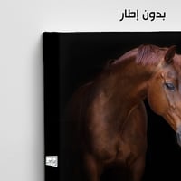 HR89 لوحة فنية معاصرة تصور رأس حصان عربي أصيل بلون...