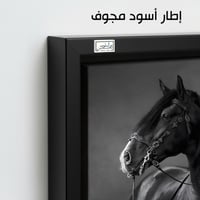 HR263 لوحة فنية أنيقة بالأبيض والأسود تصور حصاناً...