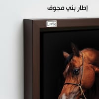 HR97 لوحة فنية معاصرة تصور رأس حصان عربي أصيل بلون...