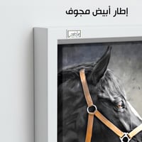 HR119 لوحة فنية بالأبيض والأسود تصور رأس حصان أسود...
