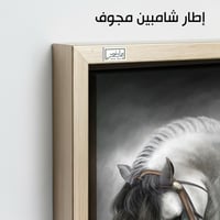 HR1 لوحة فنية راقية تصور حصاناً أبيض بتفاصيل مميزة...