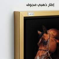 HR97 لوحة فنية معاصرة تصور رأس حصان عربي أصيل بلون...