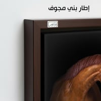 HR105 لوحة فنية معاصرة تصور حصانين، أحدهما بني وال...