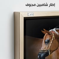 HR109 لوحة فنية بالألوان الزيتية تصور رأس حصان عرب...