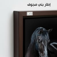 HR167 لوحة فنية واقعية تصور حصانًا أسود في ظلام دا...