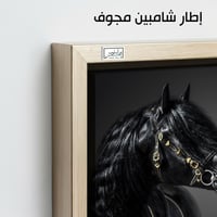 HR110 لوحة فنية بالأبيض والأسود تصور رأس حصان أسود...
