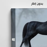 HR251 لوحة فنية معاصرة تصور حصاناً أسوداً يقف وسط...