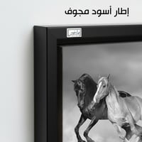 HR252 لوحة فنية معاصرة تصور مجموعة من الخيول وهي ت...