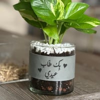 رمادي