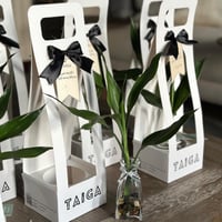 توزيعات فازة بامبو بهولدر بالثيم أو العبارة (الحبة...