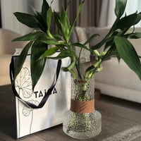 فازة بامبو فاخرة + قطعة جلد