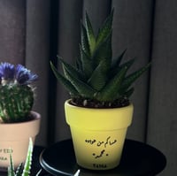 أصفر