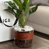 بني