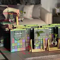 بفازتين زجاجتين