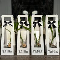 هولدر فرزاتشي