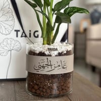بيج
