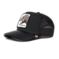 كاب مونستر للأطفال من قوورين