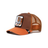 كاب تايقر وايلد للأطفال من قوورين