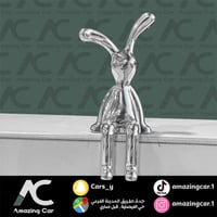 ارنب جالس فضي