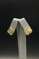 حلق ورده ذهب صافي