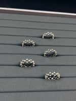 دبلة شبك الفصوص