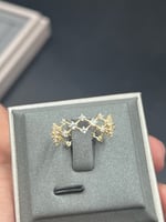 دبلة شبك الفصوص