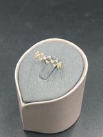 دبلة شبك الفصوص