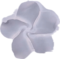 سيلكون وردات ( ٢ قطعه )