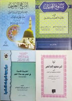المجموعة 13