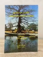 ‏شهر في غرب إفريقية مشاهدات وأحاديث عن المسلمين ‏م...